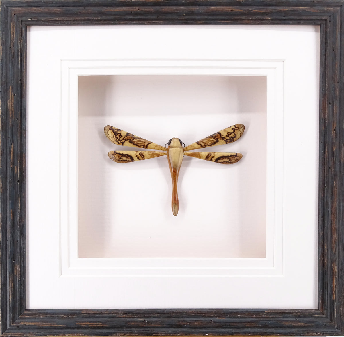 Spalted Beech & Yew dragonfly
