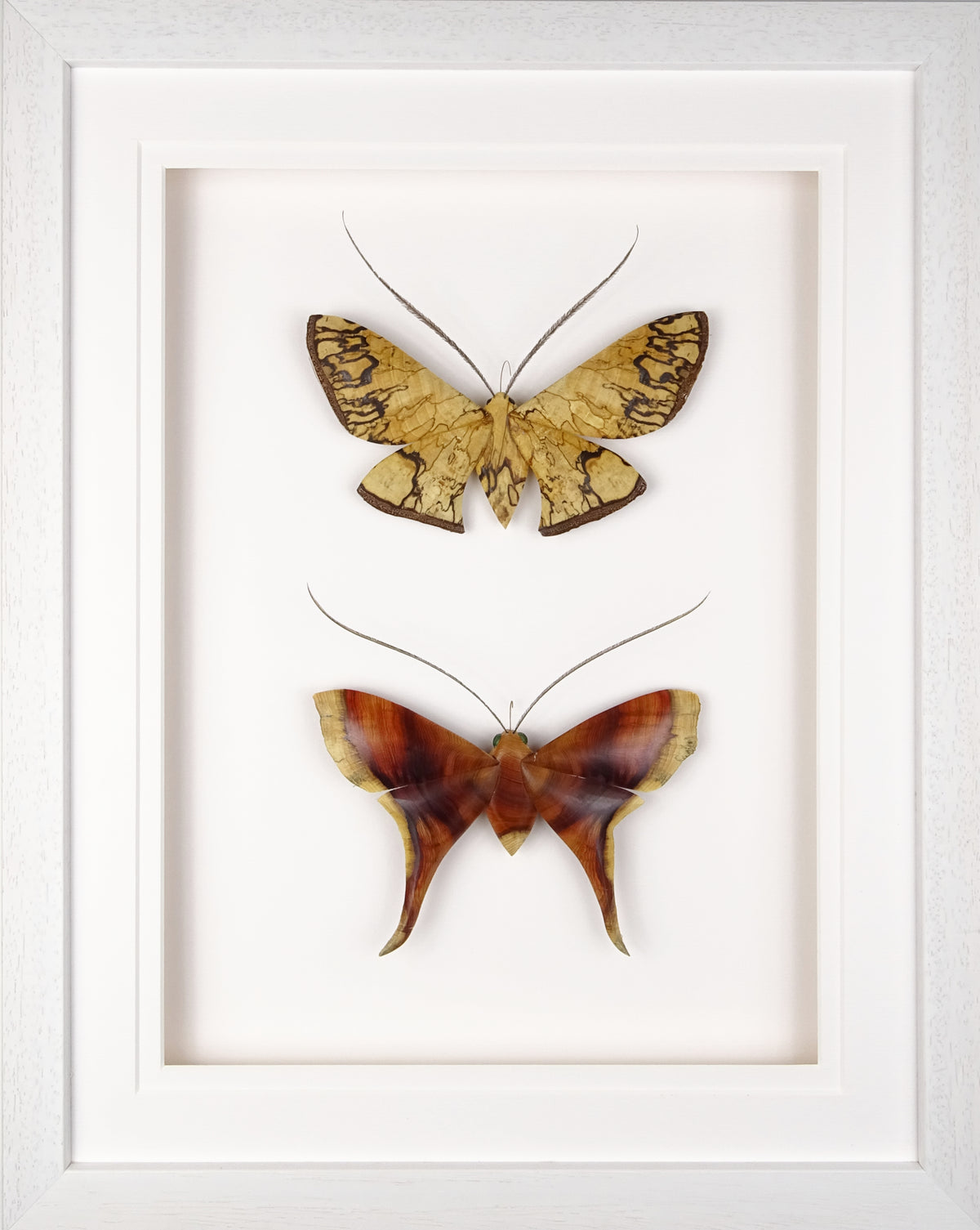 Spalted birch and swallow tailed yew