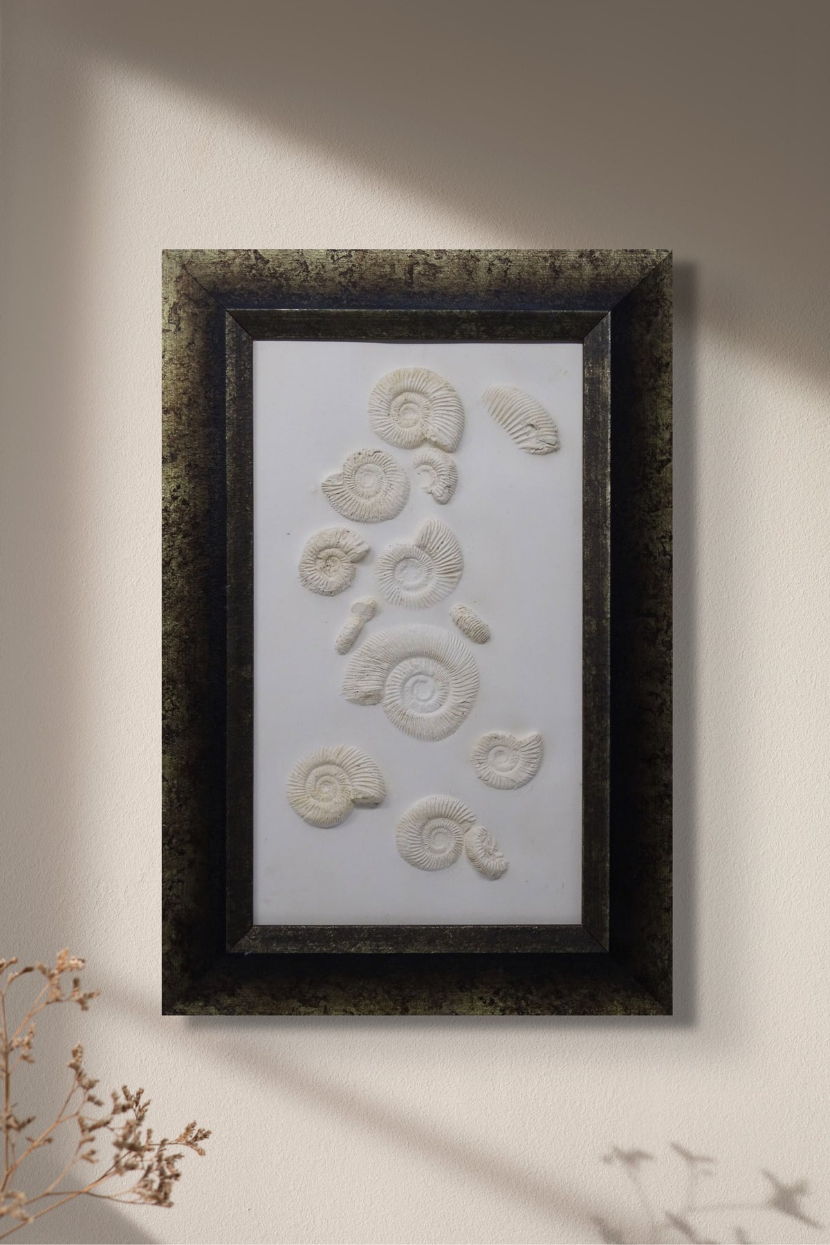 Contemporary Plaster Ammonite Frame